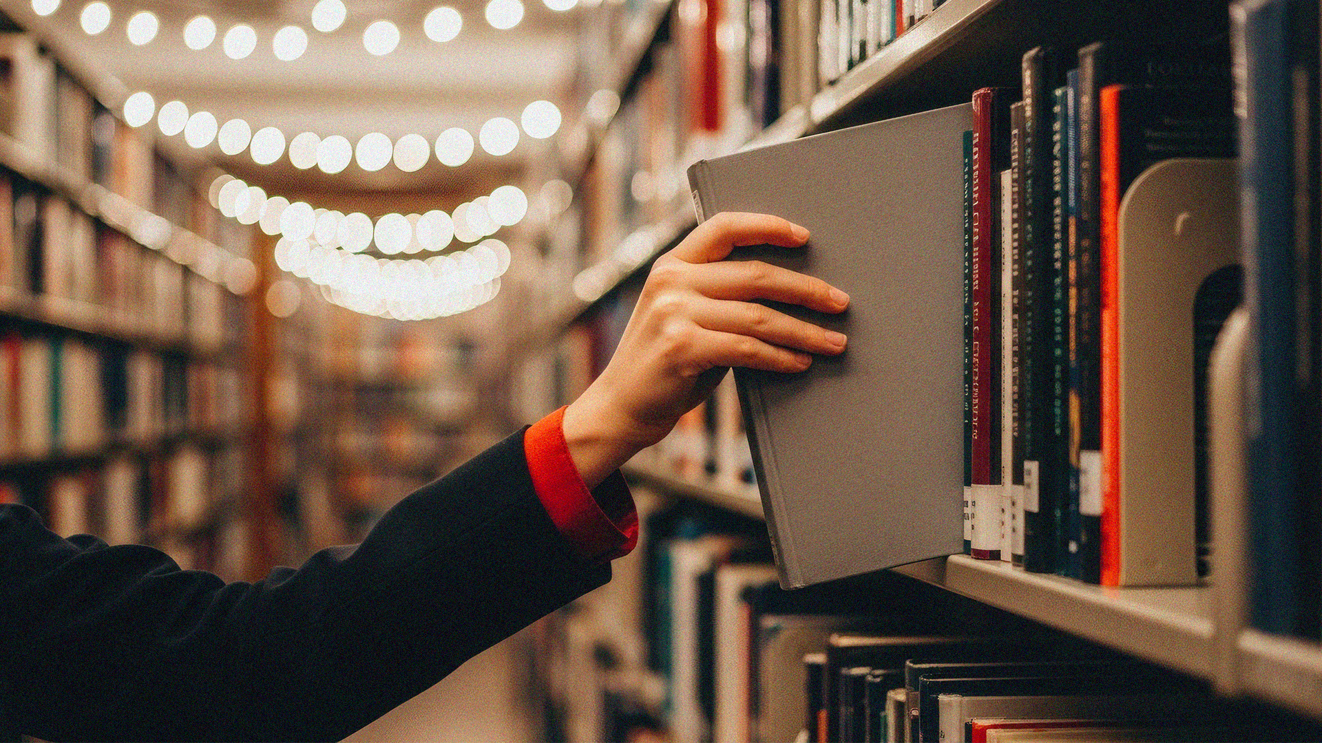 A reader selecting a book from a library shelf